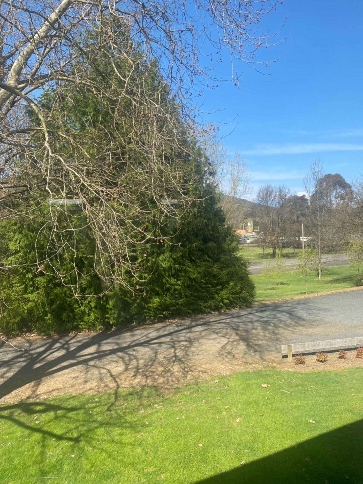 Tumbarumba Motel & Elms Restaurant Exteriör bild